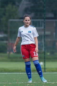 Bild 253 - C-Juniorinnen HSV - Walddoerfer : Ergebnis: 9:1